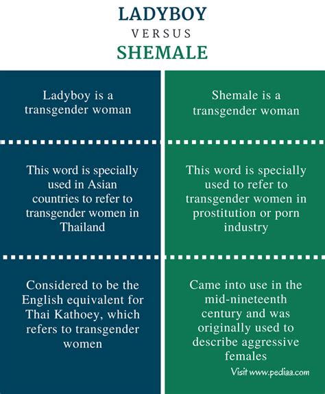 tranny vs shemale|Difference Between Tranny and Shemale